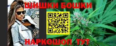 мдпв Бердск
