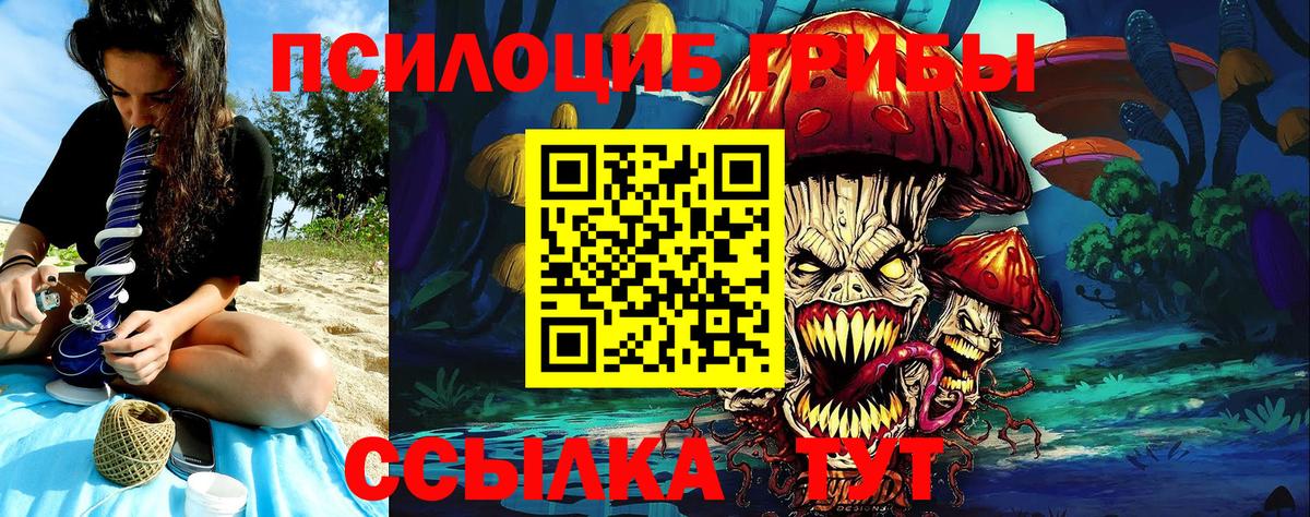 Псилоцибиновые грибы Psilocybe Кушва